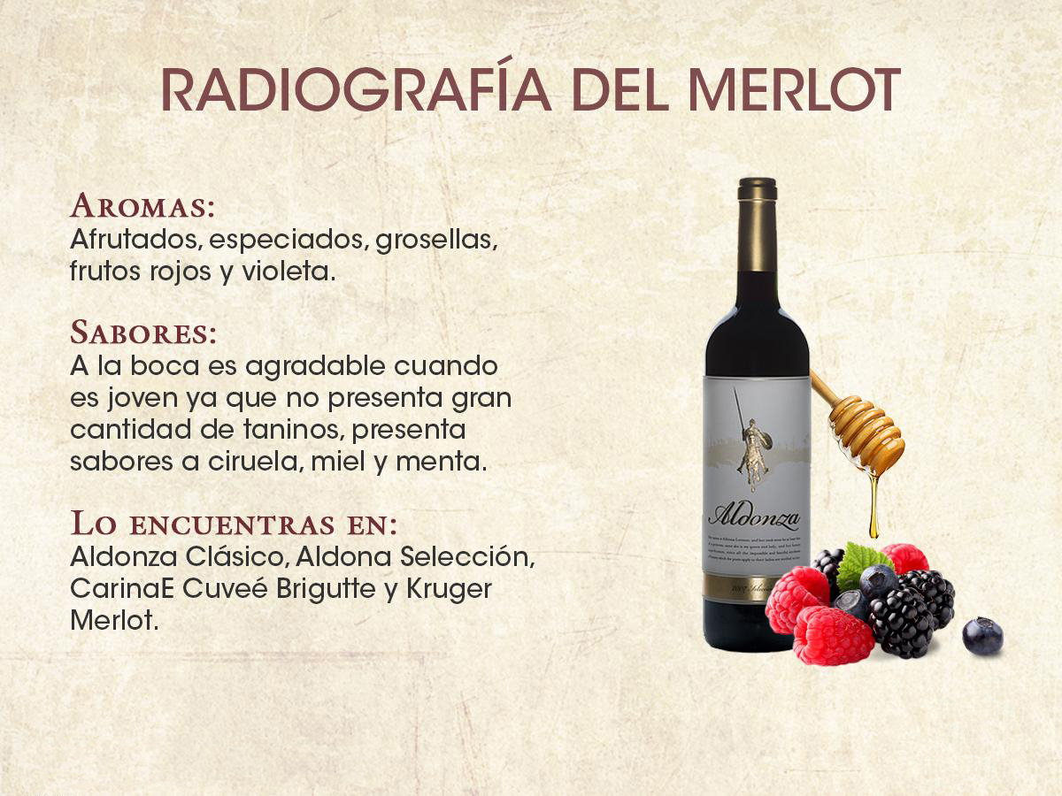 merlot