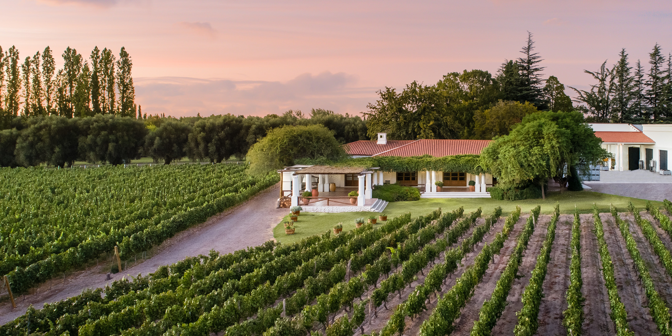 bodegasNieto