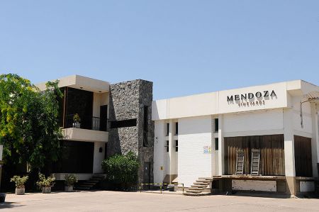 bodegaVineyard